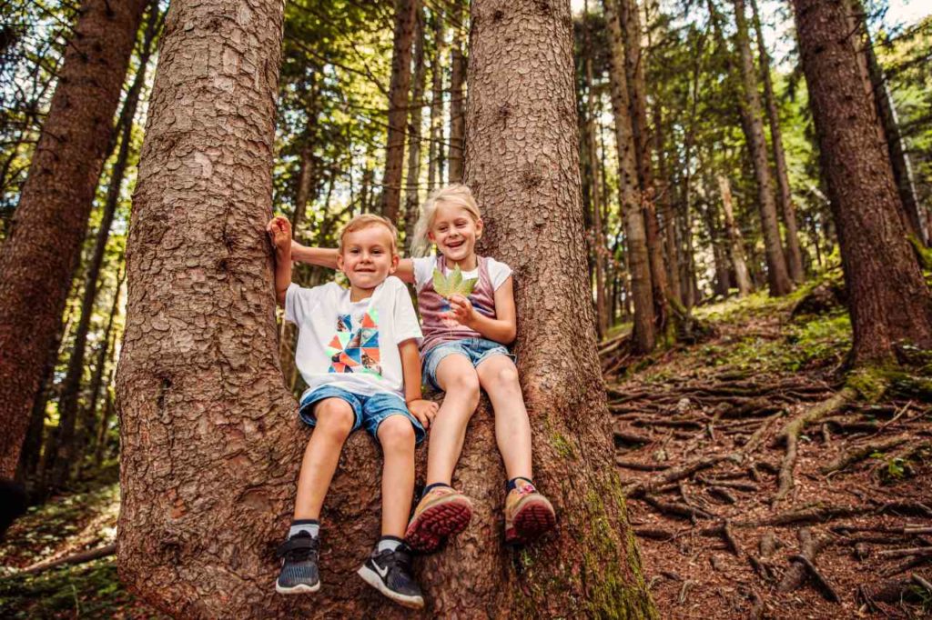 Waldfühlung für Kinder Pfronten