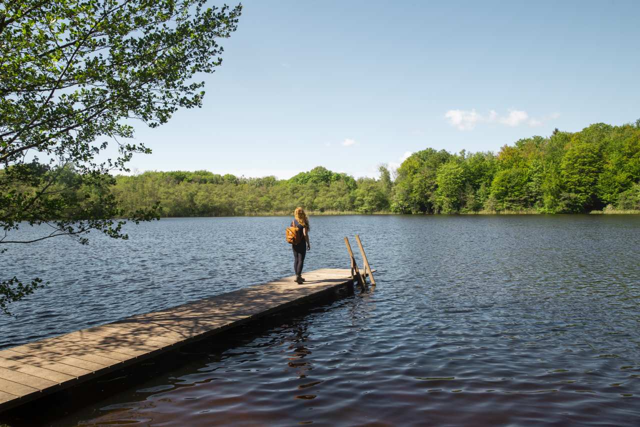 Badesteg in den Avnsø