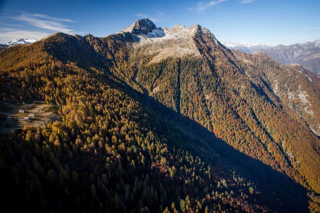 Buchenwälder im Valle di Lodano