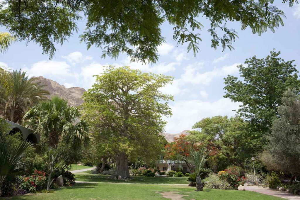 Garten Dead Sea Ein Gedi