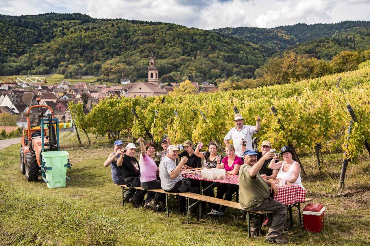 Winzerjause Weinberg bei Riquewihr