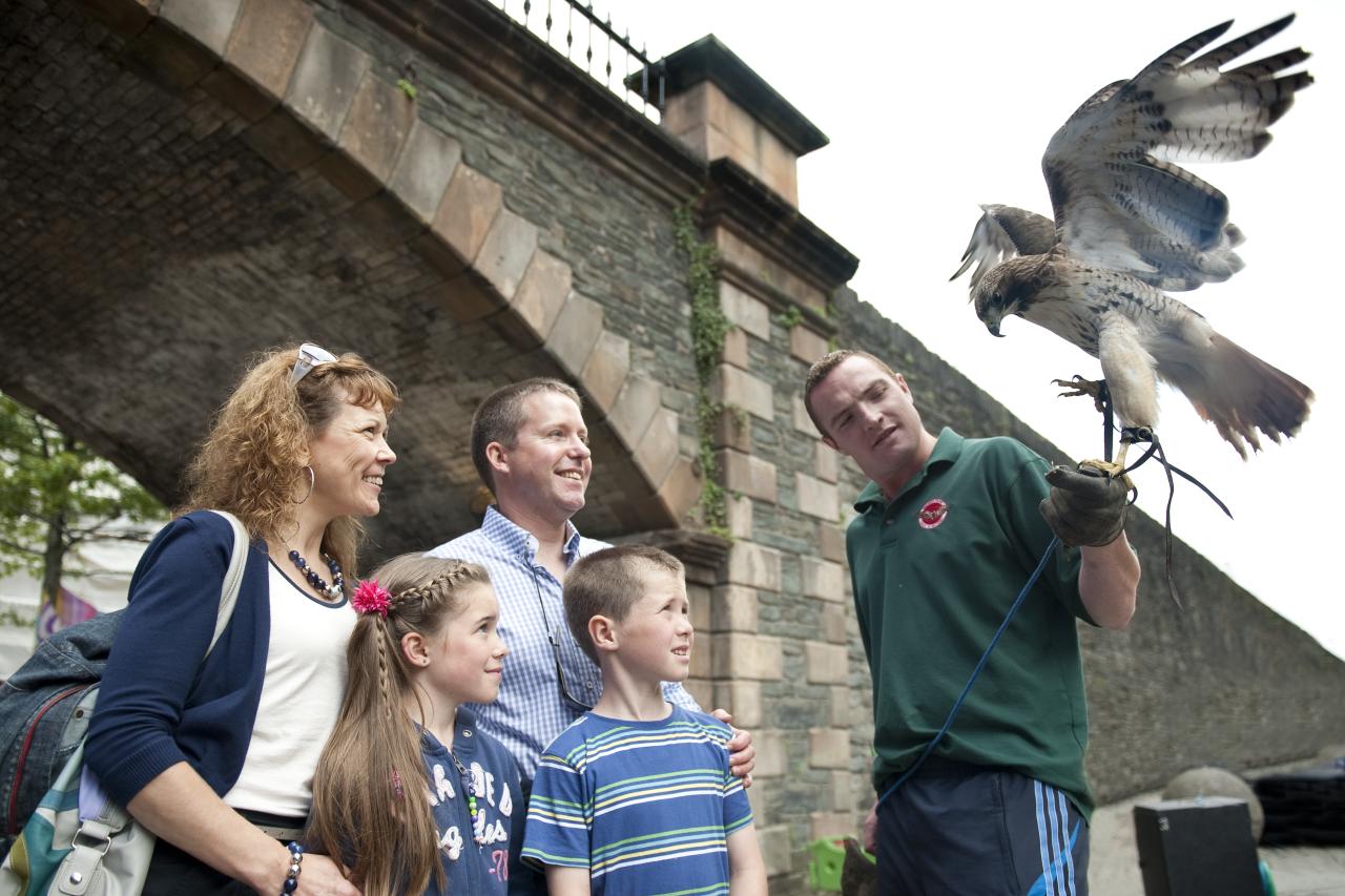 Falkner Familie Irland