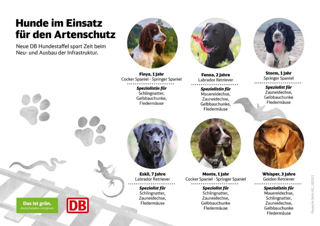Hundestaffel für Artenschutz Deutsche Bahn