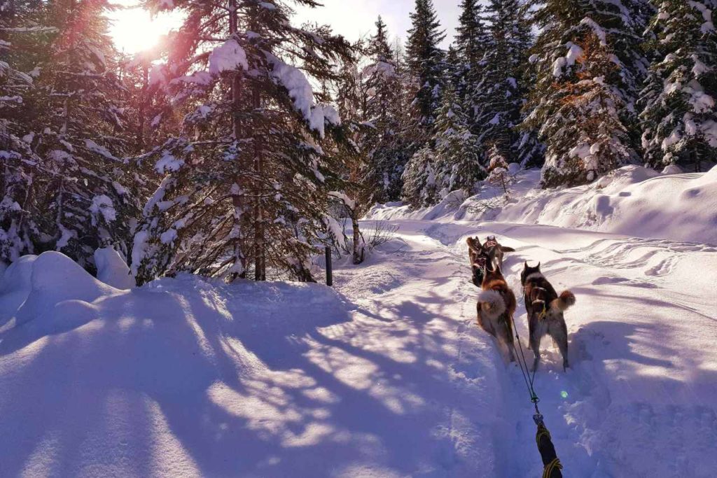 Husky Tour St. Anton Arlberg