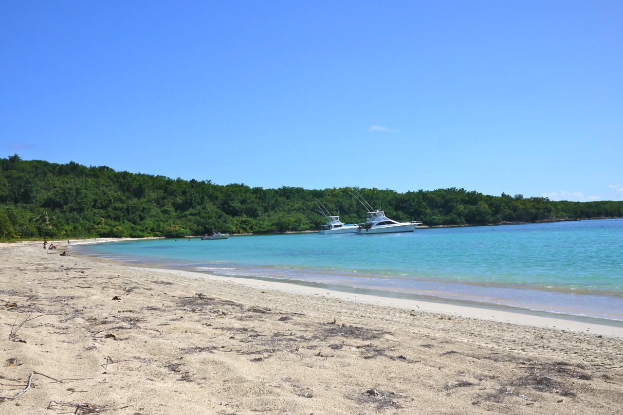 Strand auf Vieques Puerto Rico