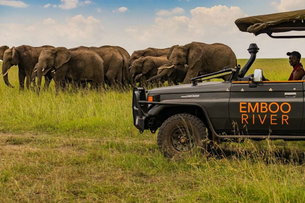 Elefantenherde Safari Masai Mara