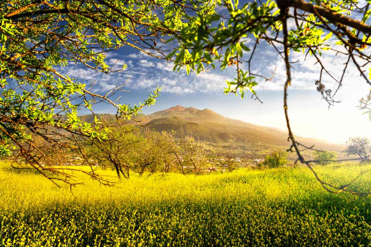 Farben Natur La Palma