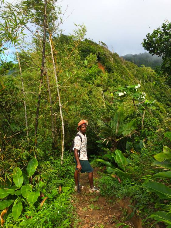Grenada Trekking mit Guide