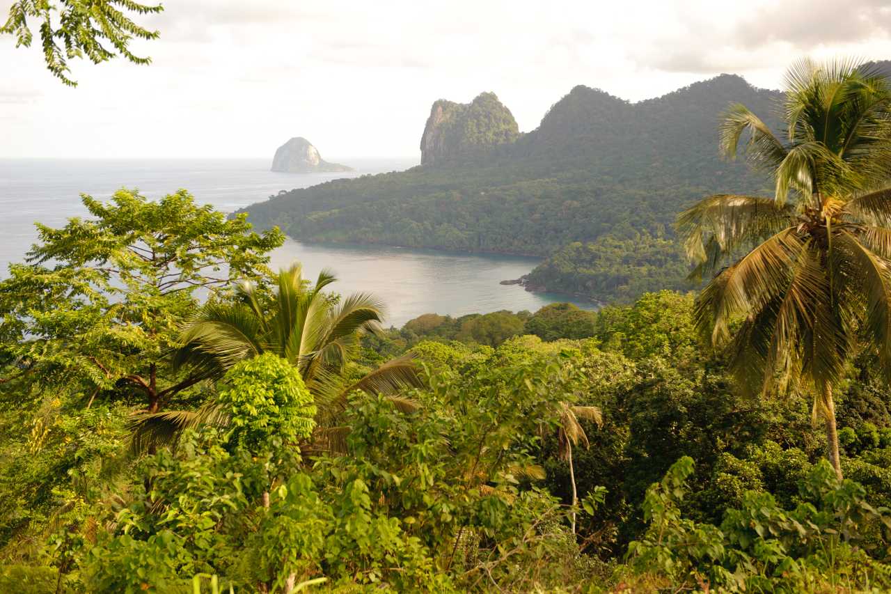 Grünes Paradies São Tomé und Príncipe