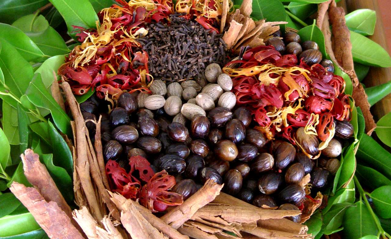 Muskatnüsse aus Grenada