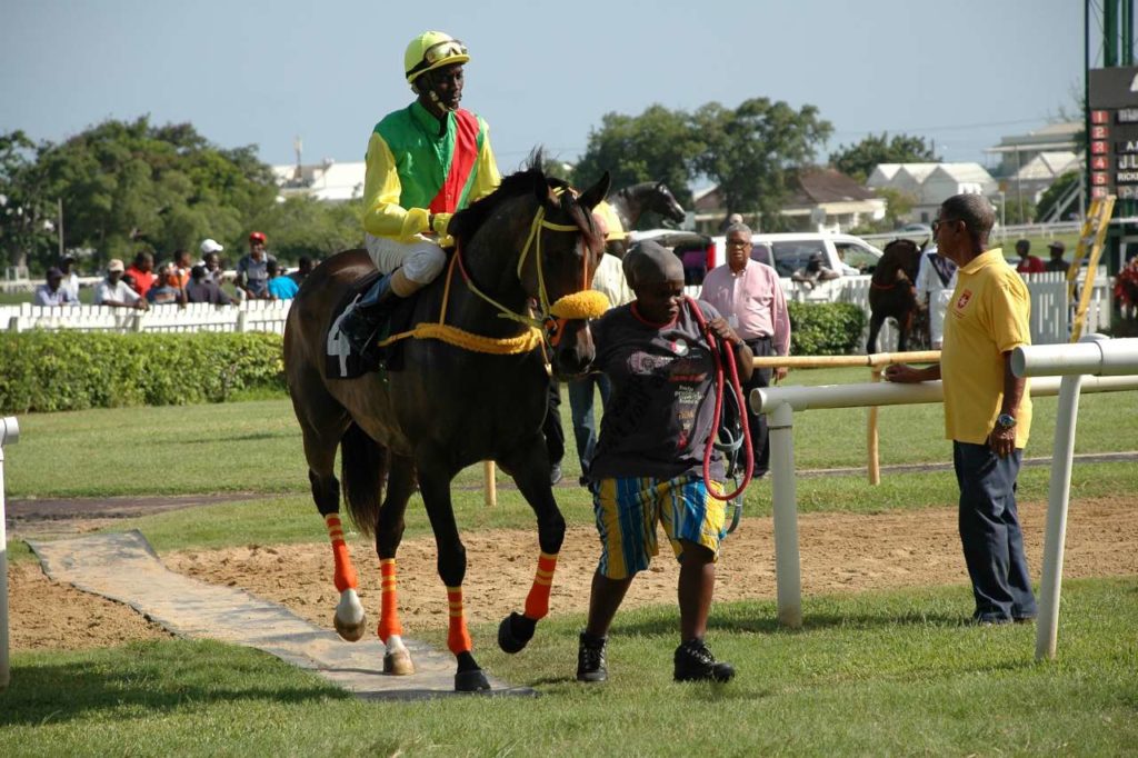 Pferderennsport Barbados