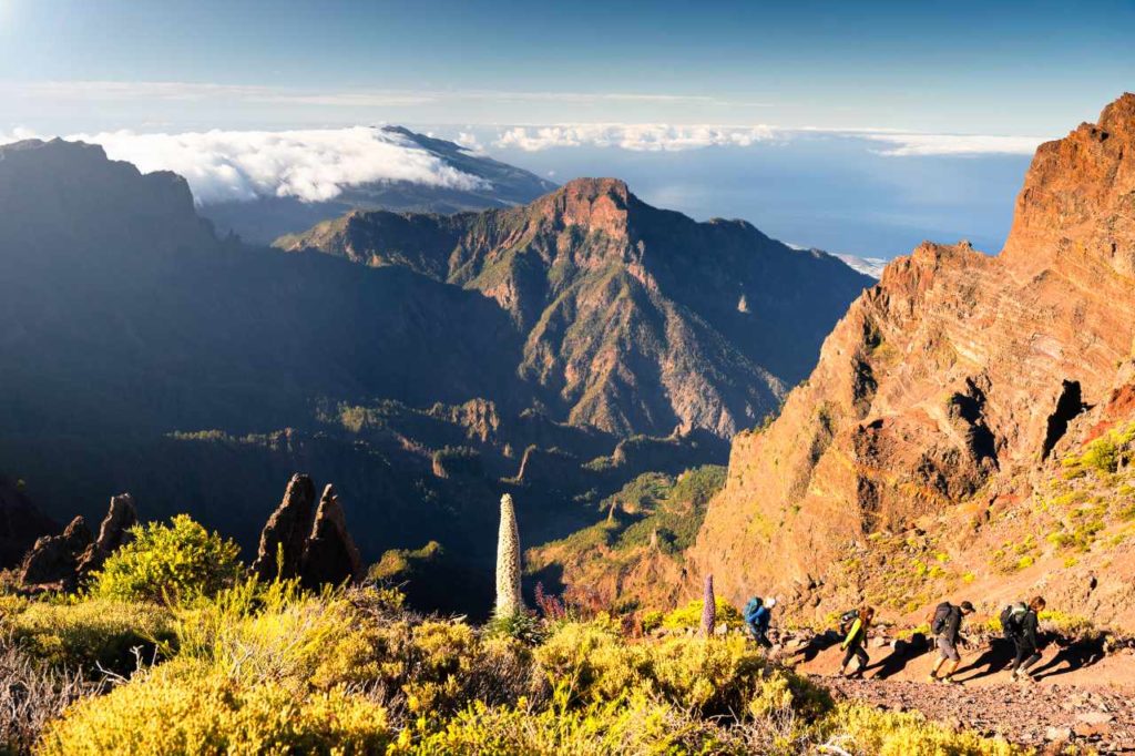 Wandern blühende Landschaft La Palma