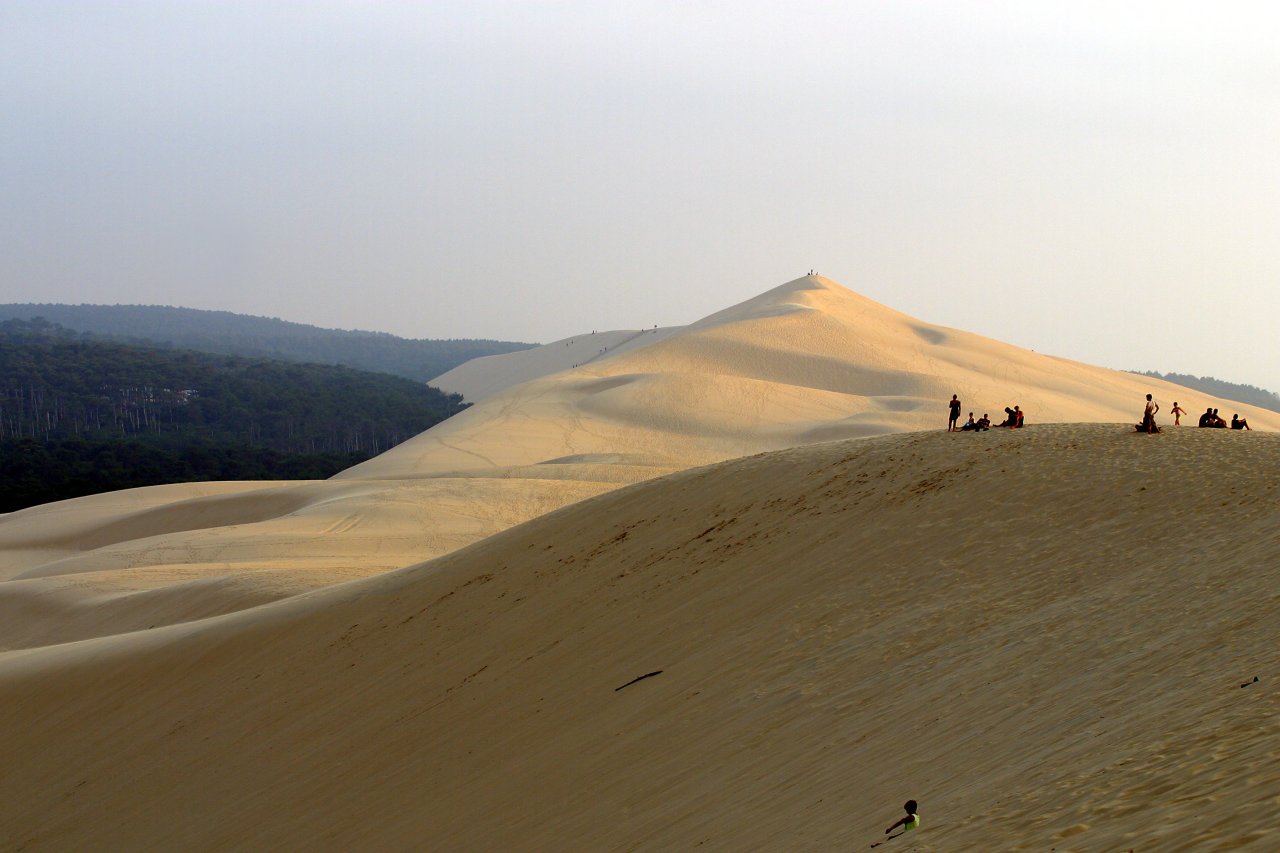 Sandberg Dune du Pilat