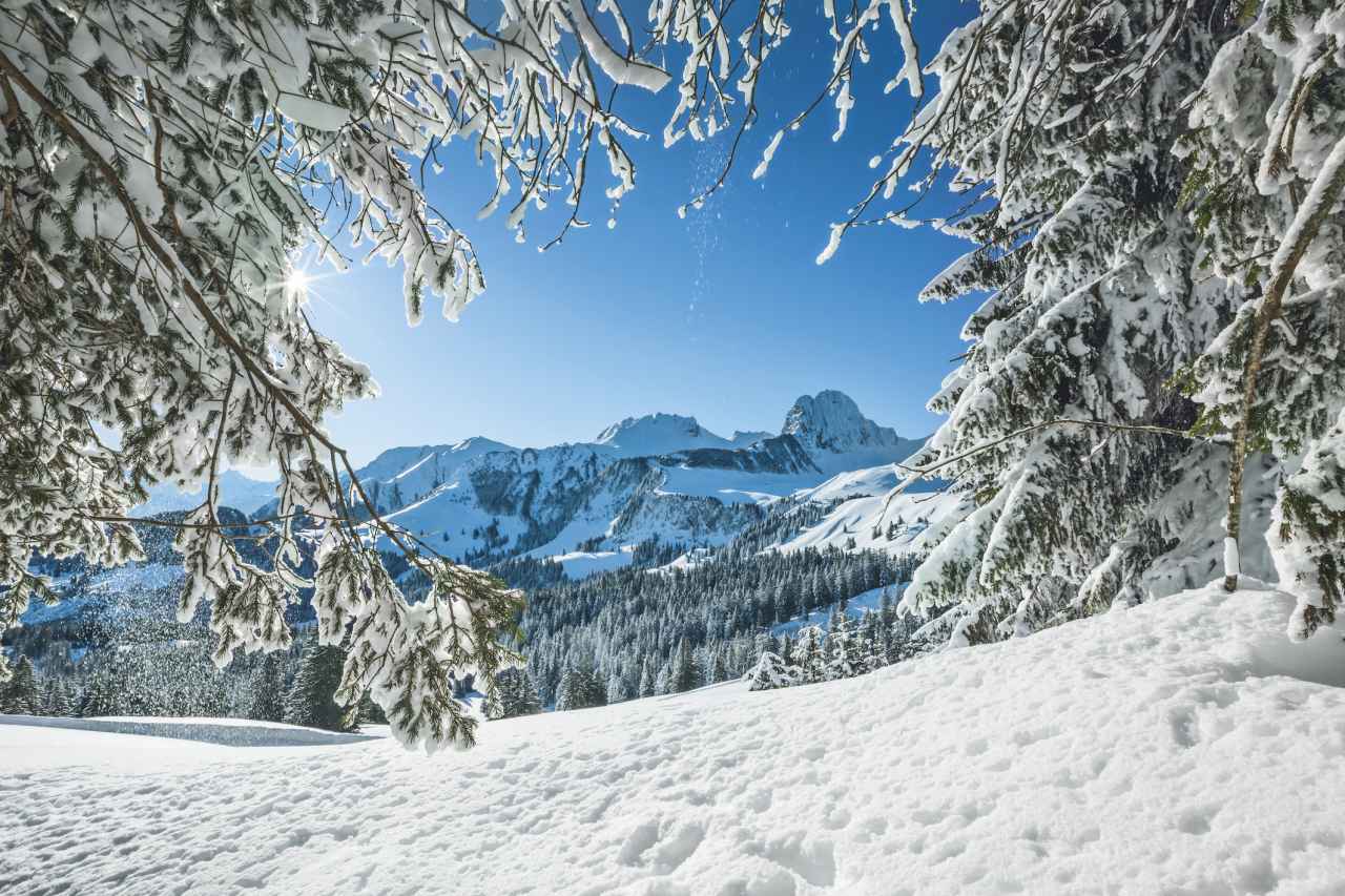 Verschneite Landschaft auf dem Gurnigel