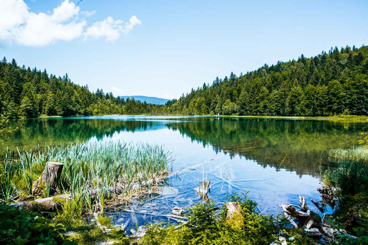 Frillensee bei Inzell