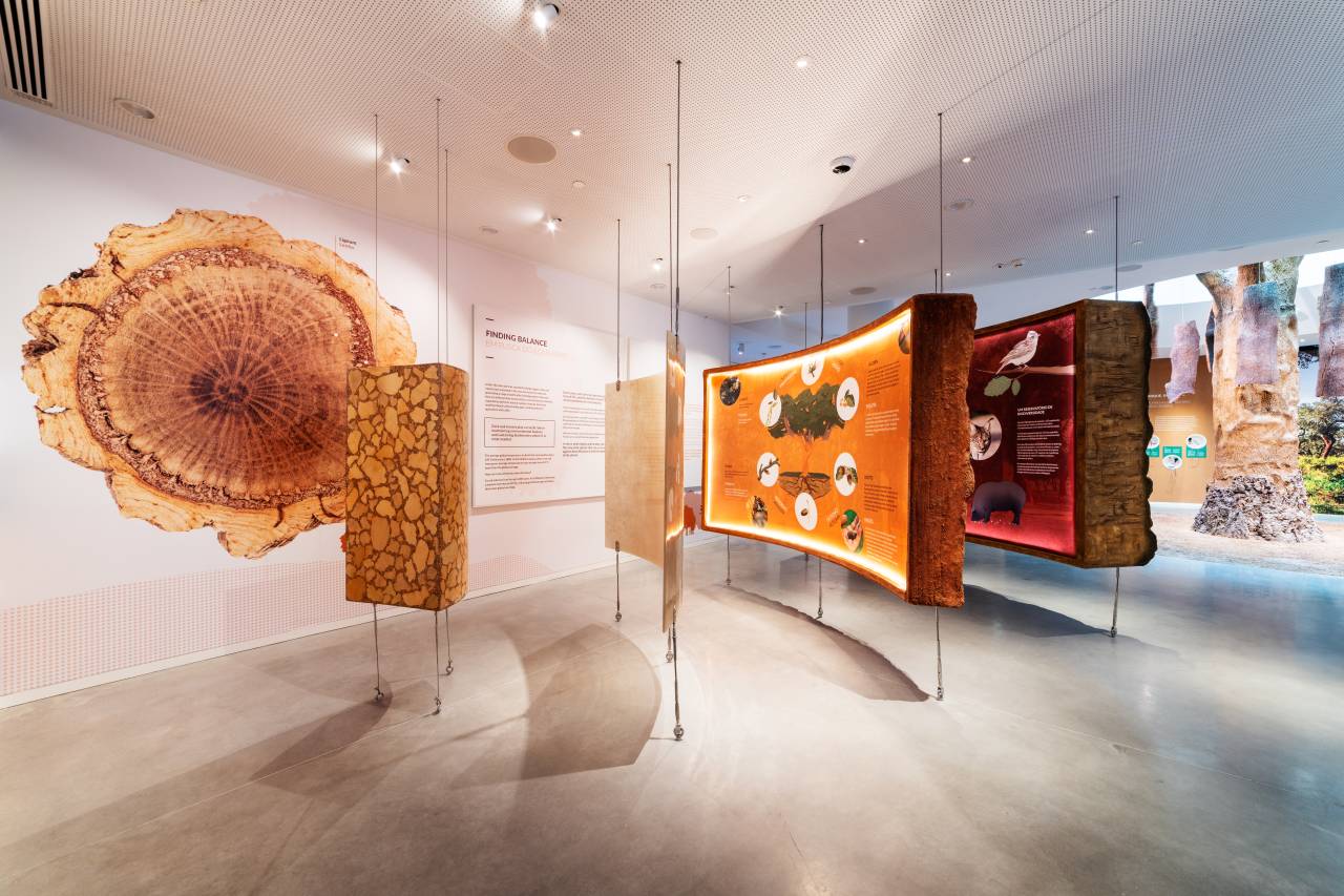 Kork-Ausstellungsstücke Planet Cork