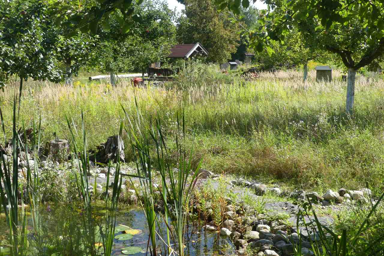 Lebensraum für Insekten im Umweltgarten Wiesmühl