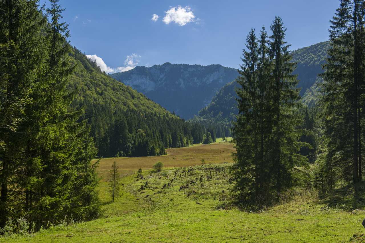 Natur pur im Chiemgau