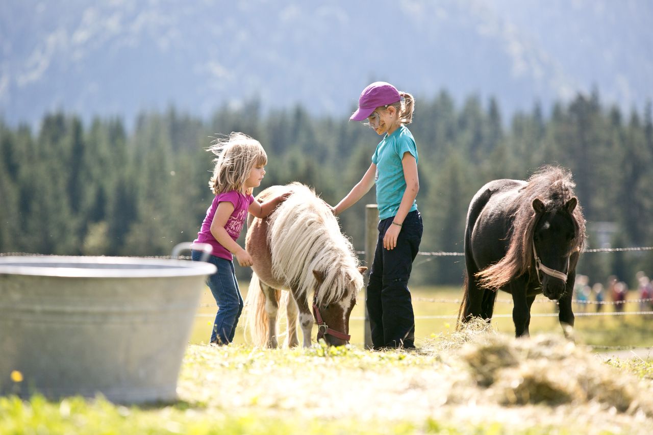 Pony streicheln Chiemgauer Bauernhof