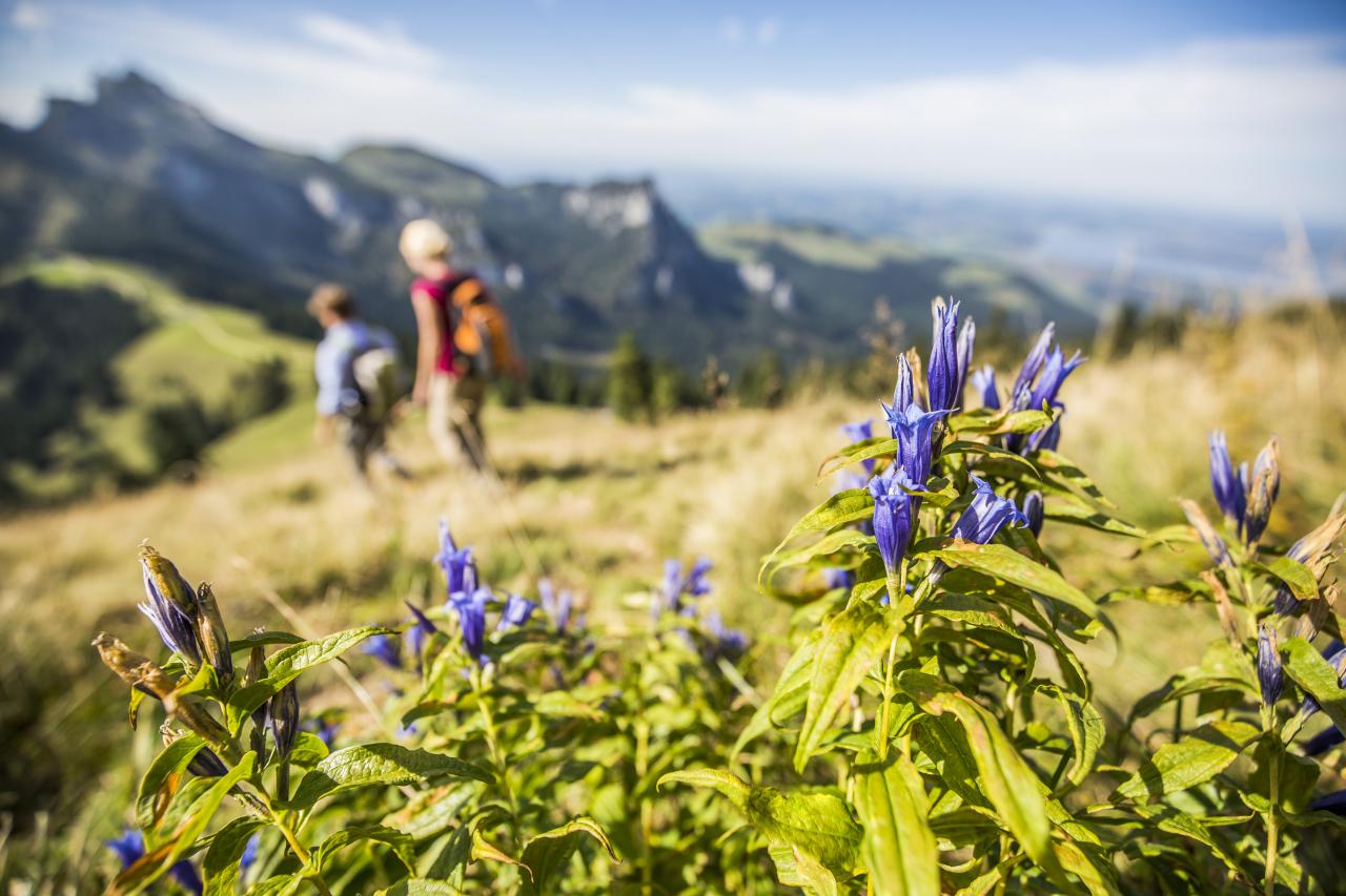 Ressourcen schonen im Chiemgau