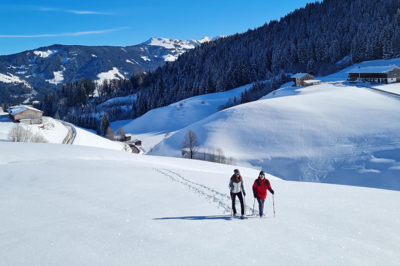 Winterwandern in Thierbach