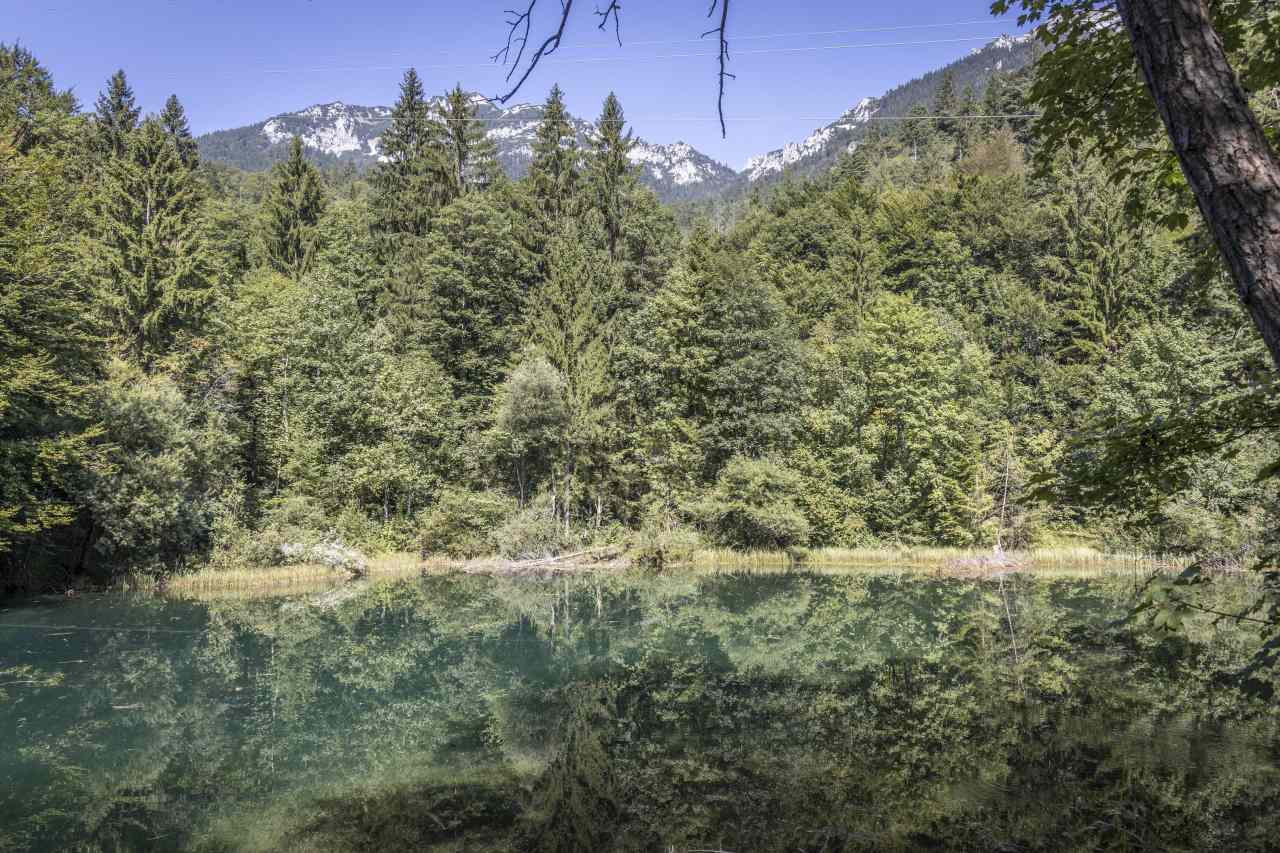 Bergkurwald Bad Reichenhall am Listsee