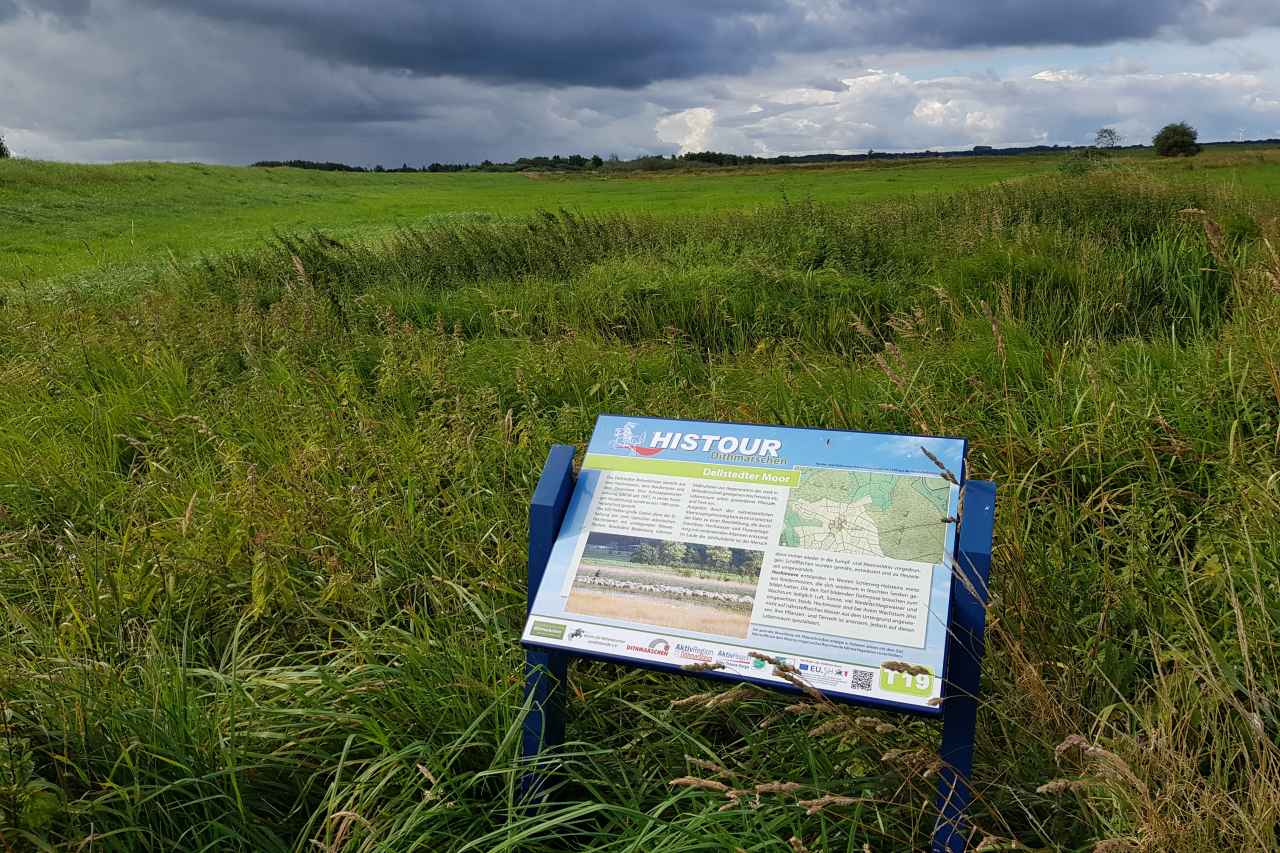 Dellstedter Moor in Dithmarschen