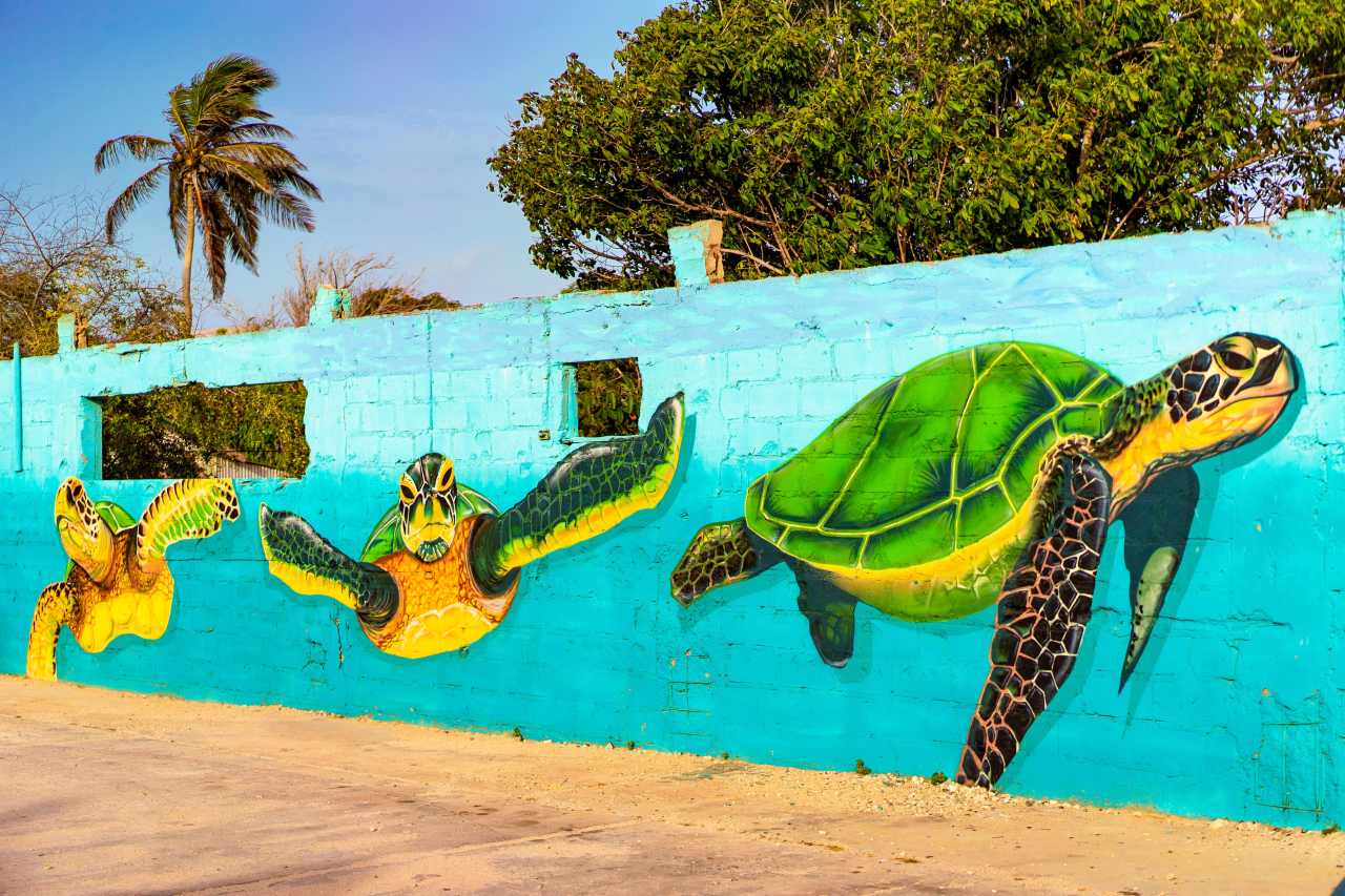 Save the Turtles Wandmalerei Aruba