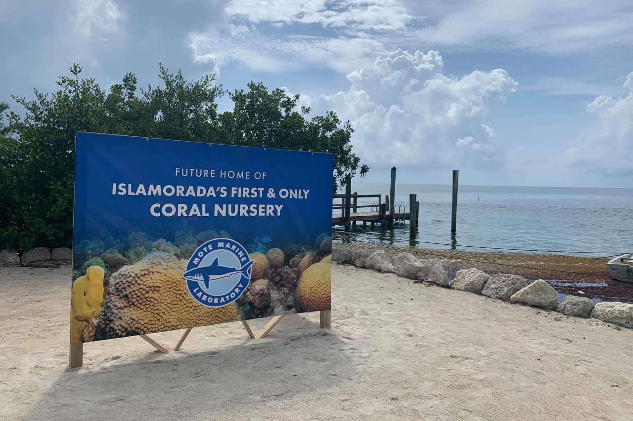 Hinweisschild Korallenaufzuchstation auf Islamorda