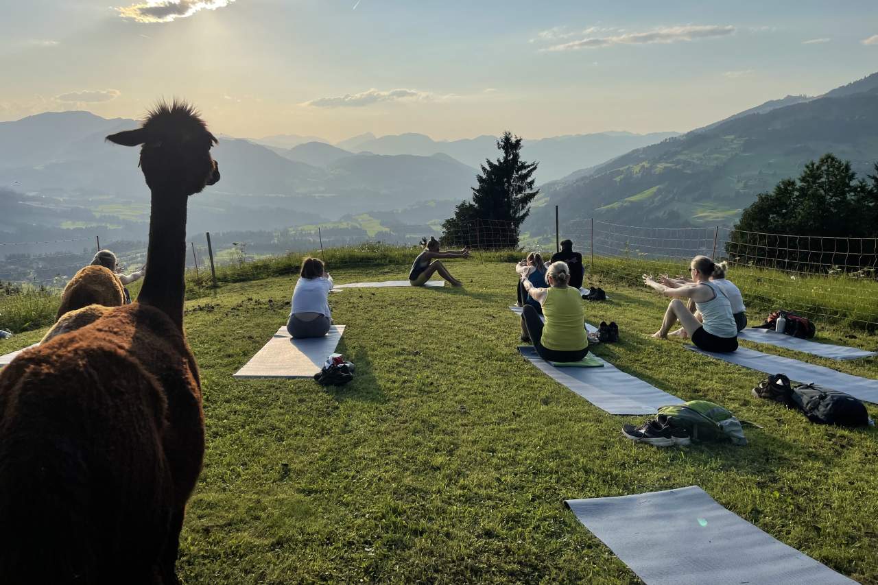 Yoga mit Alpakas im Brixental