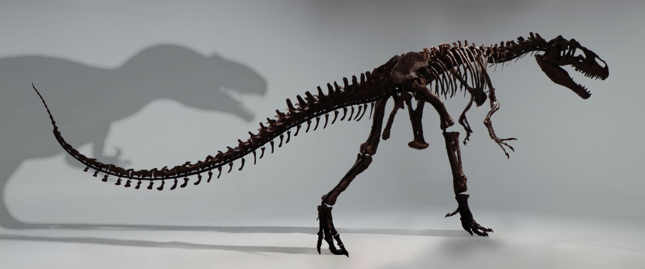 Allosaurus-Skelett Big Joe Knuthenborg Safaripark