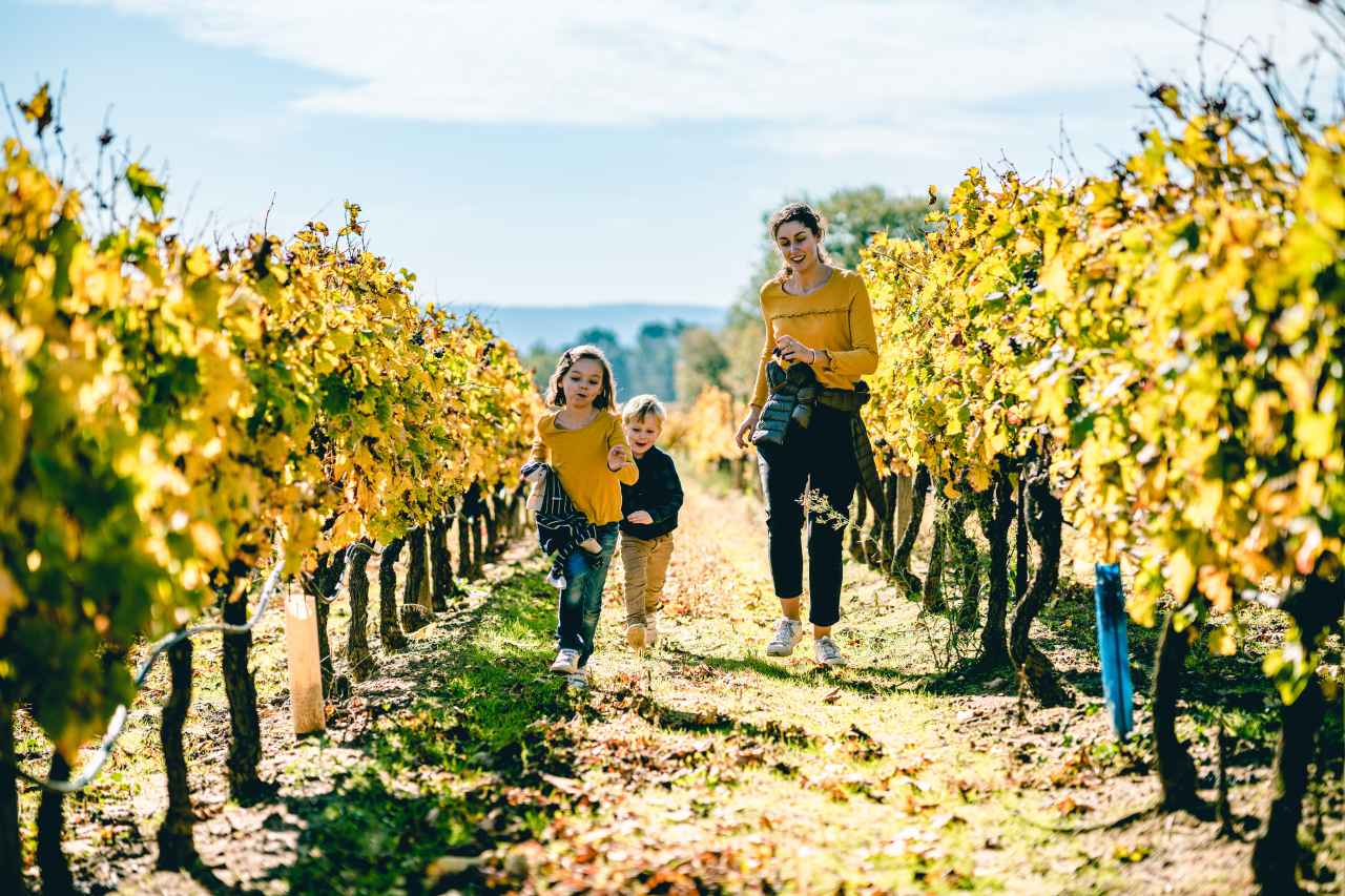 Themenpfad Weingut Provence