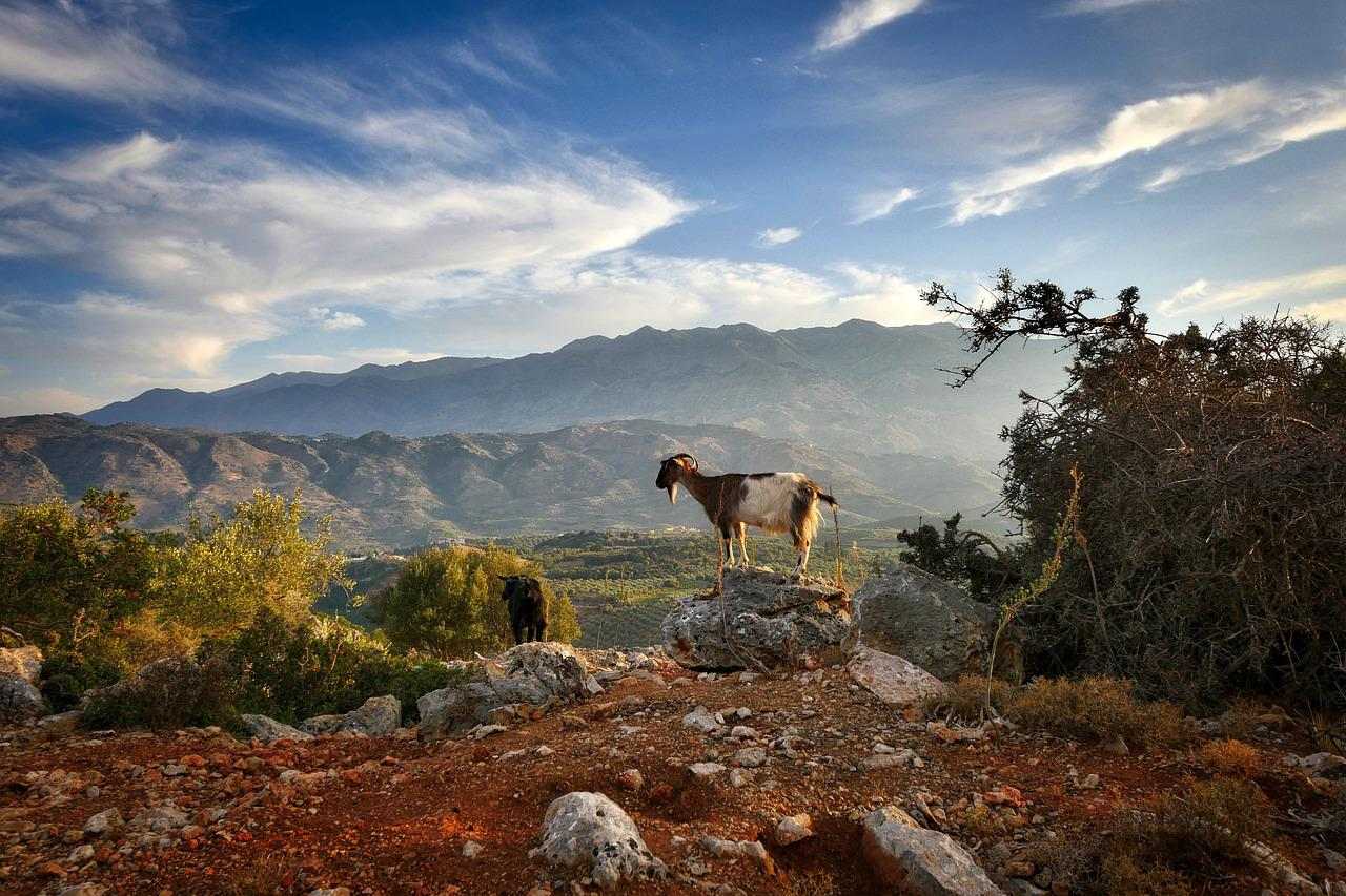 Bergland Kreta Anatoli