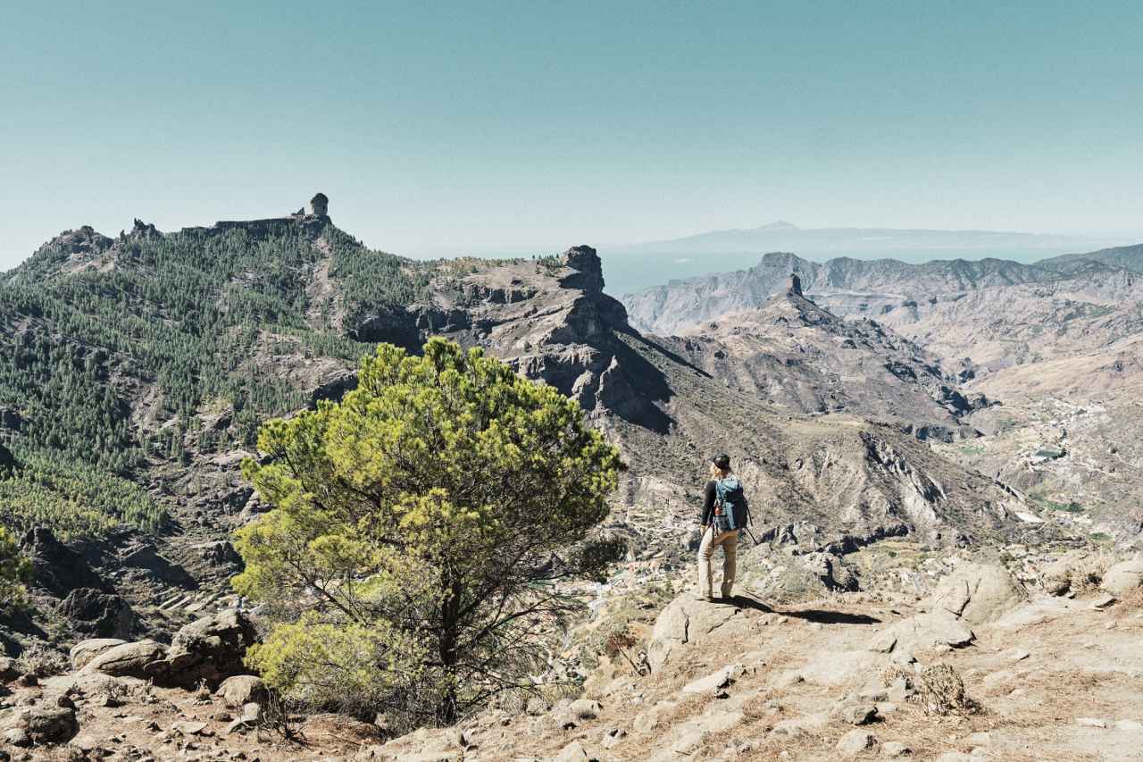 Berglandschaft Pinienwald Gran Canaria