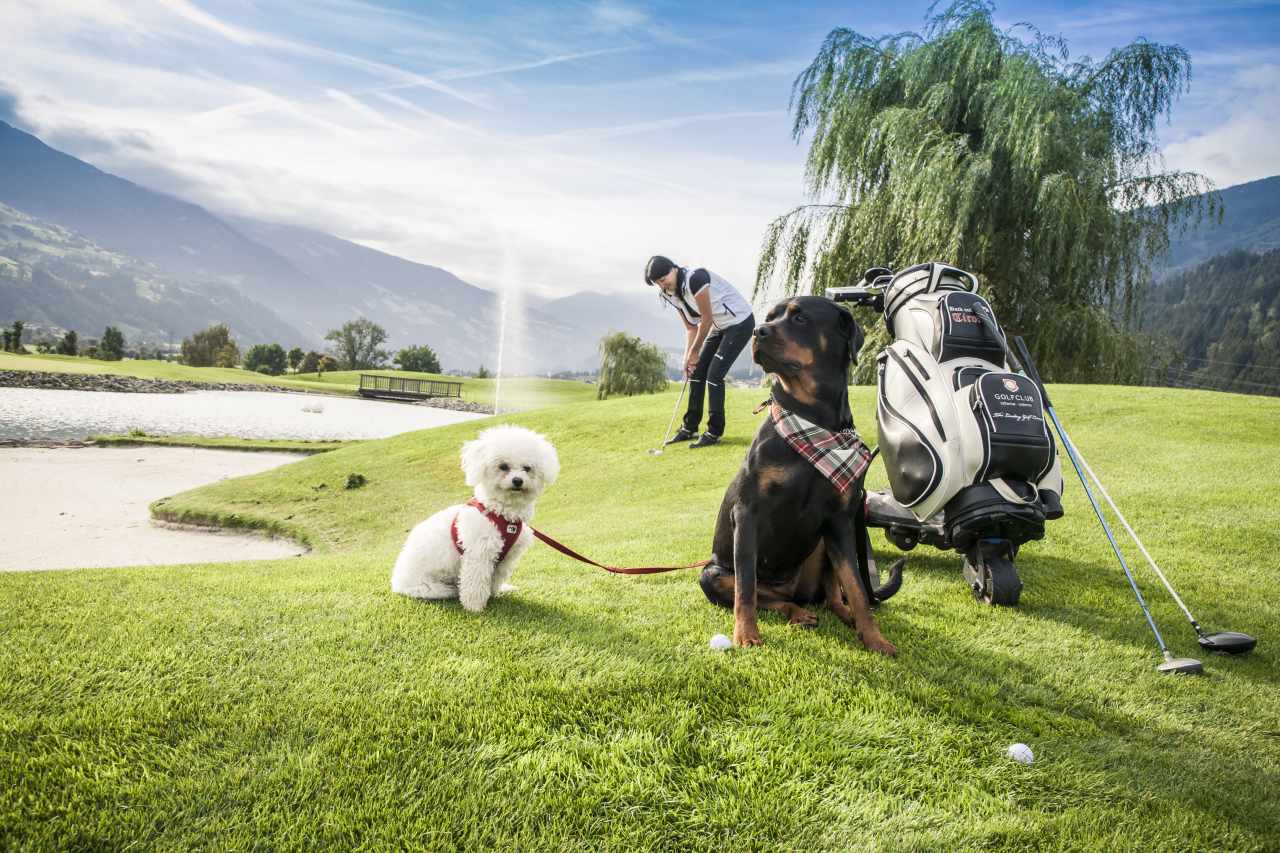 Hunde Golfplatz Zillertal