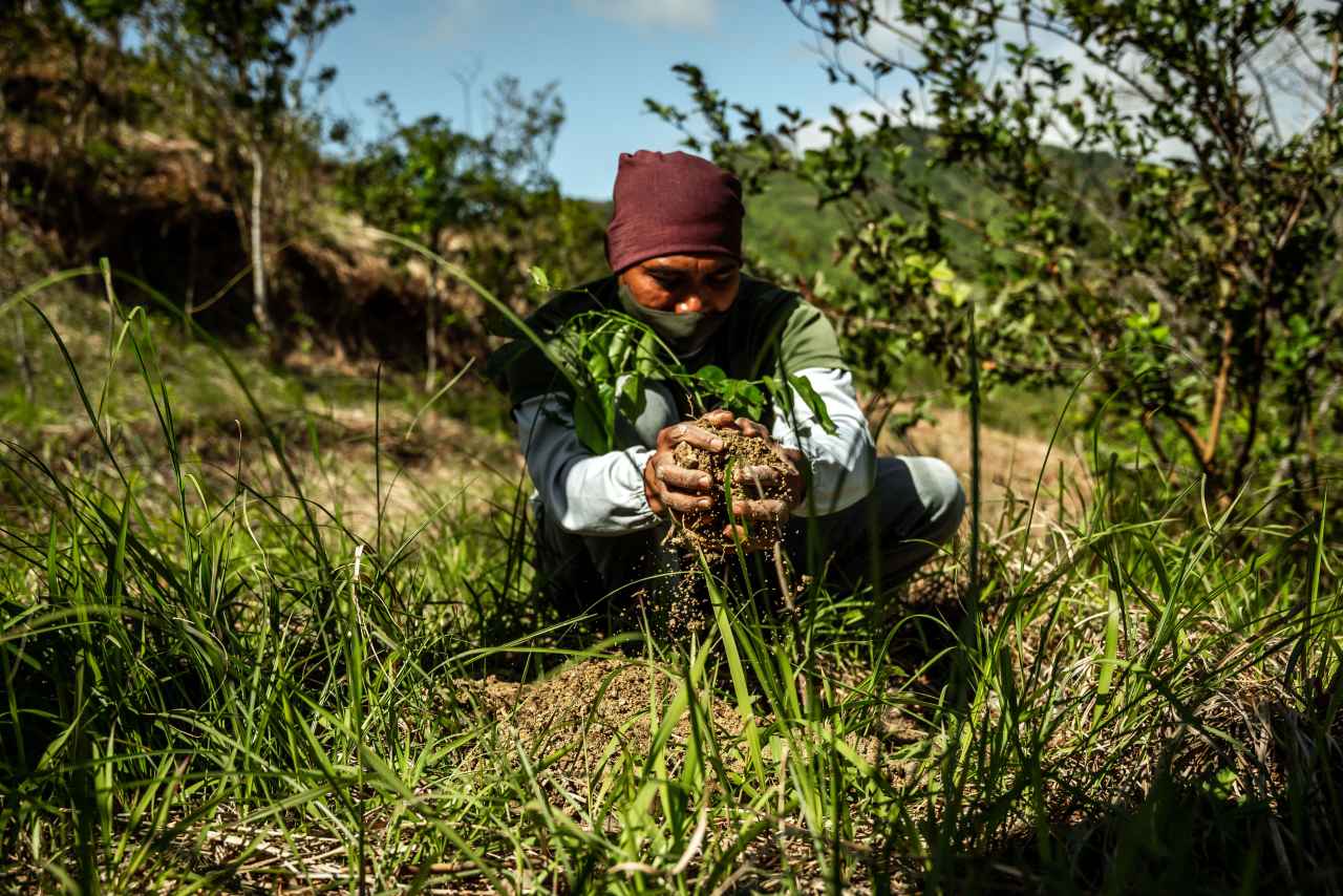 Visionen für eine nachhaltigere Zukunft auf den Philippinen