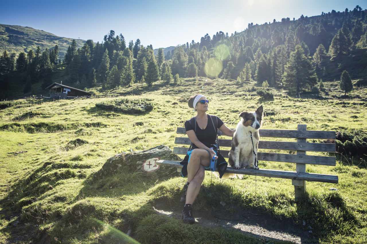 Zillertal Parkbank Hund