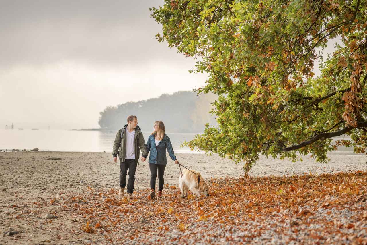 Herbst-Spaziergang mit Hund Konstanz Seeufer Hörle Park