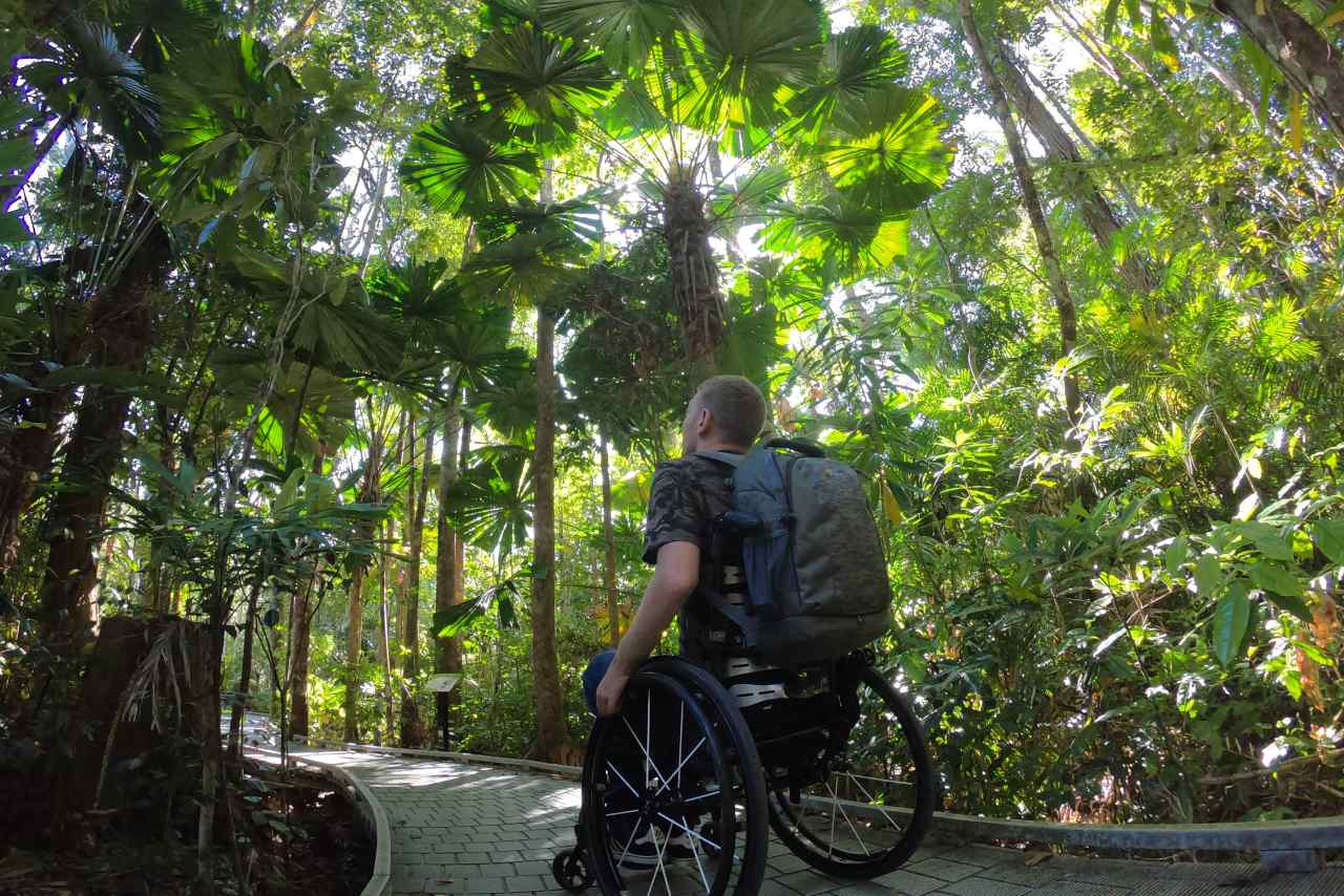 Daintree Rainforest Queensland mit dem Rollstuhl