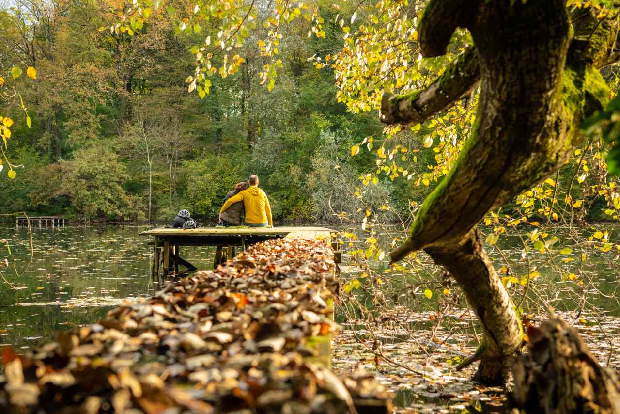 Herbstliche Auszeit am Altrhein in der Südpfalz