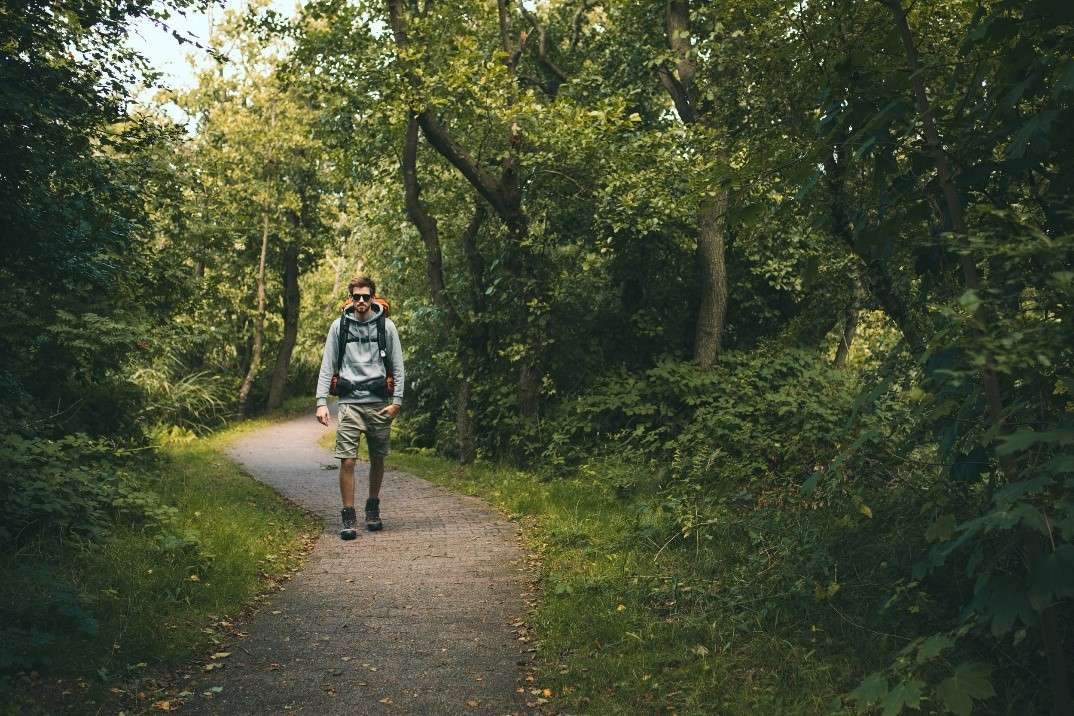 Inselwald Greune Stee Borkum