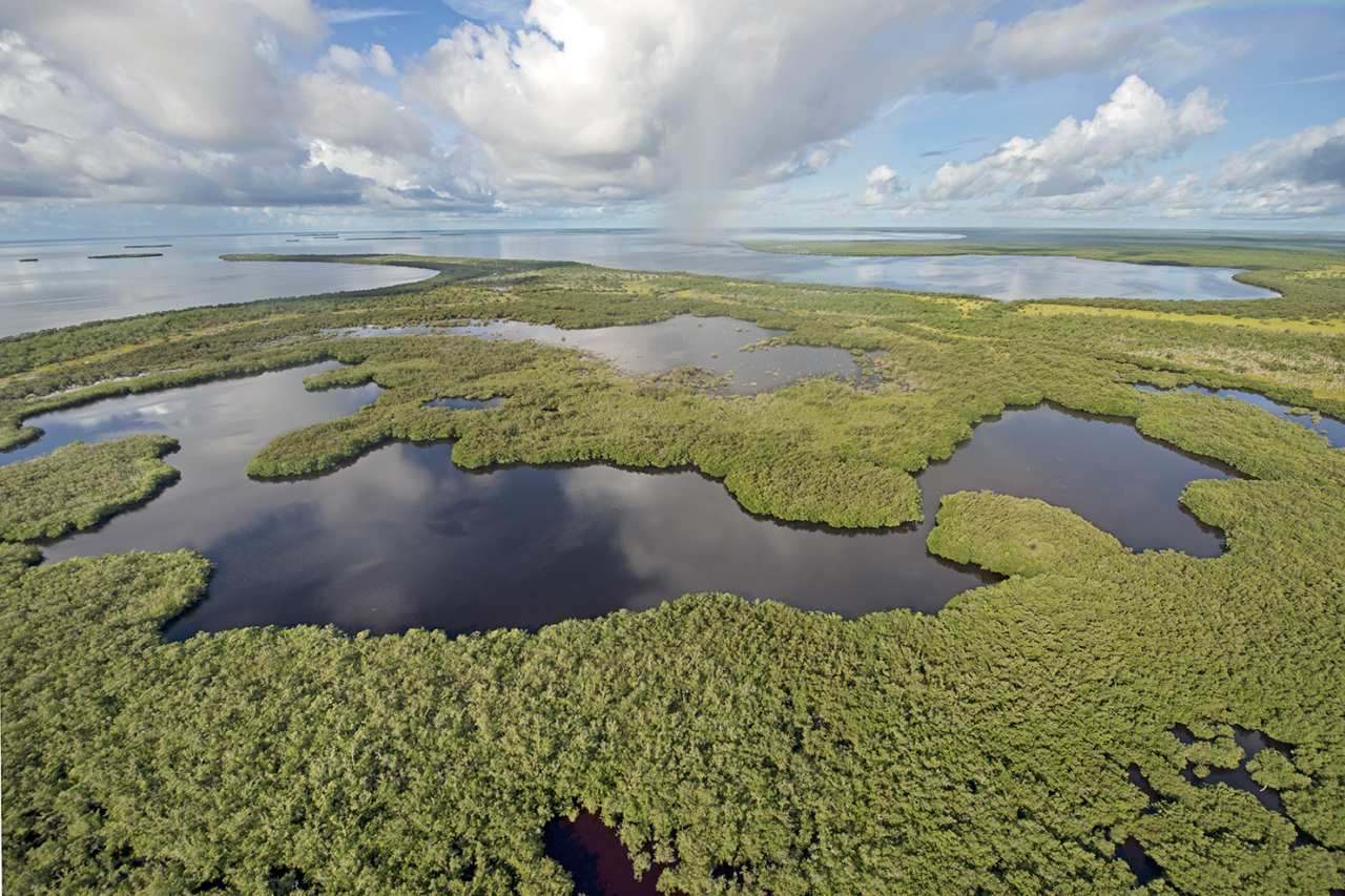 Everglades National Park 75 Jahre