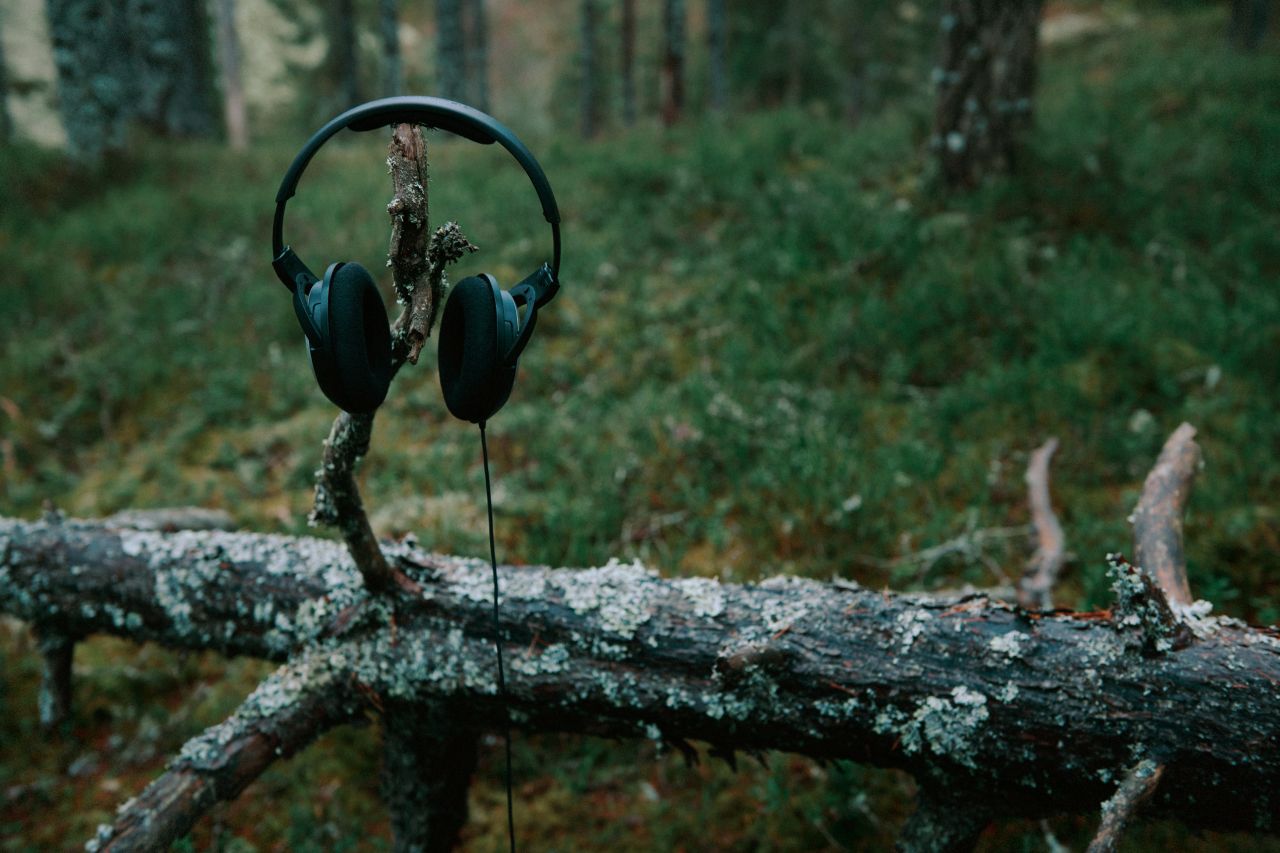 Schwedens Natur Hörbuch