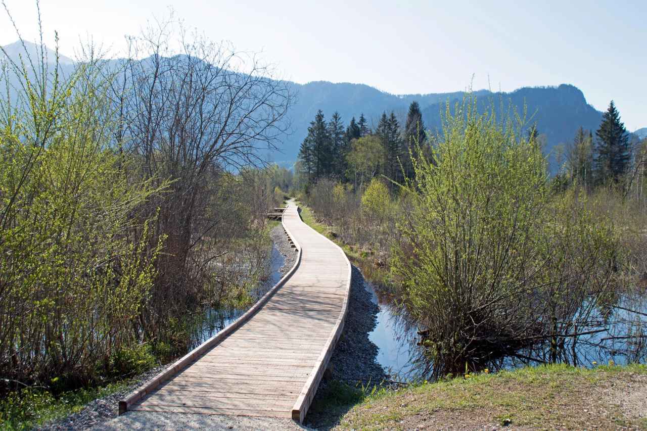 Wanderweg im Moor-Erlebnis-Pfad Inzell