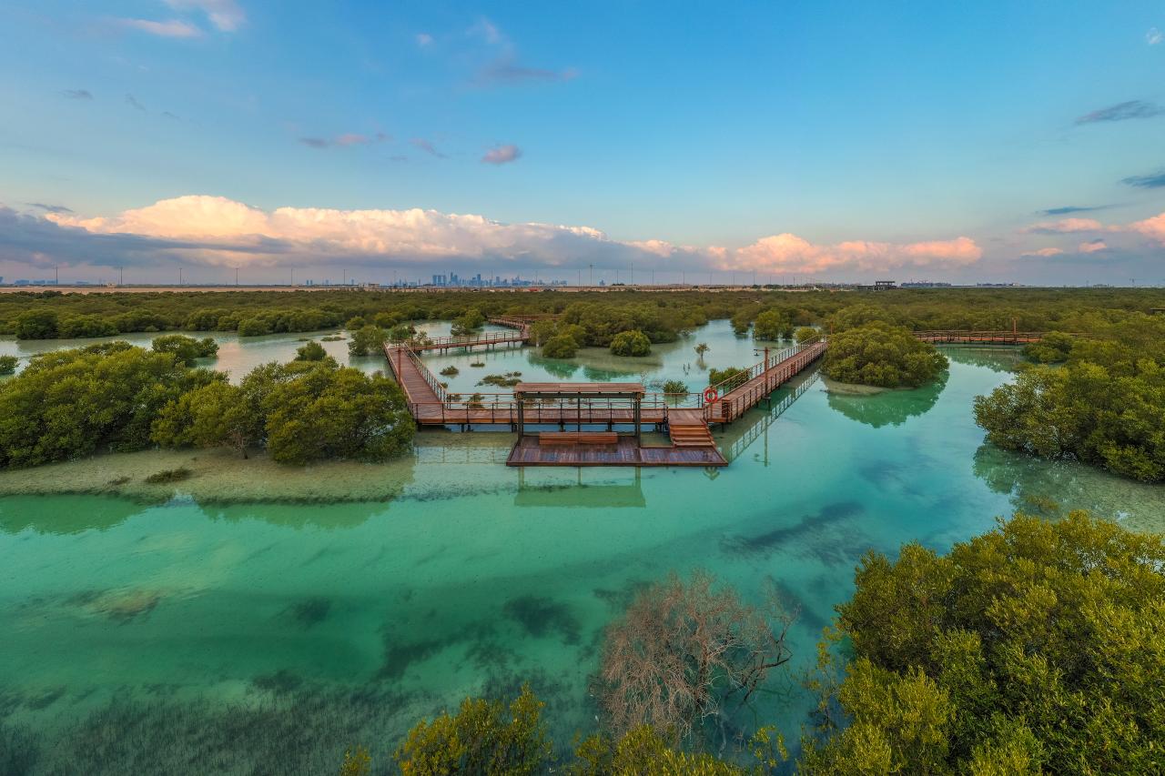 Jubail Mangrove Park grüne Lunge Abu Dhabis