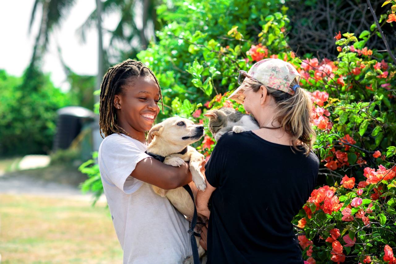 Engagement Tierschutz Barbados