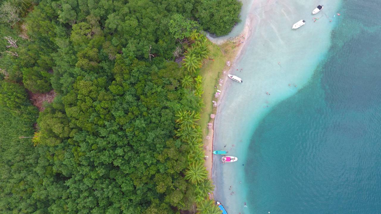 Playa Estrella Panama Bocas del Toro