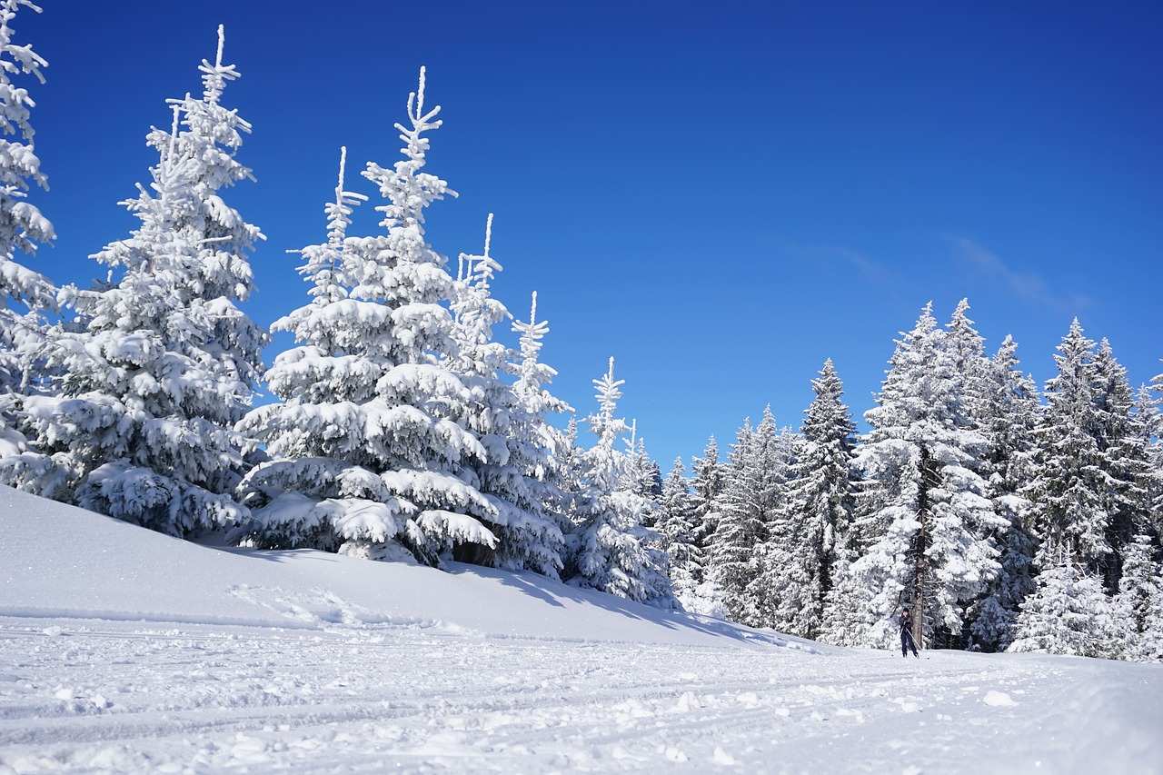 Rocky Mountains Champagne Powder