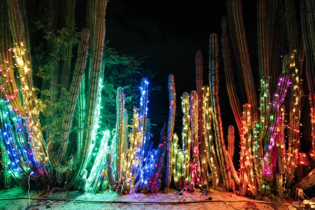 Weihnachtliche Lichtinstallationen in Oranjestad