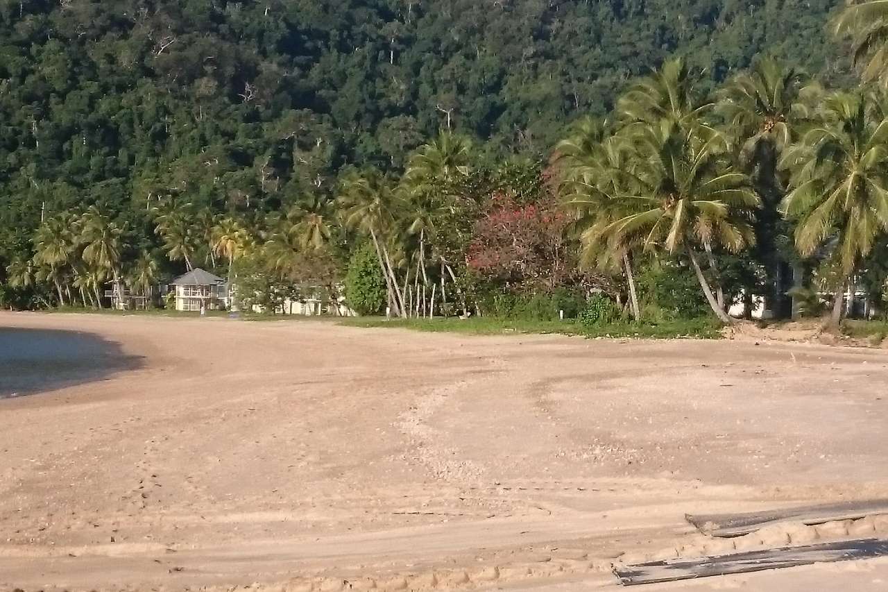 Dunk Island Beach